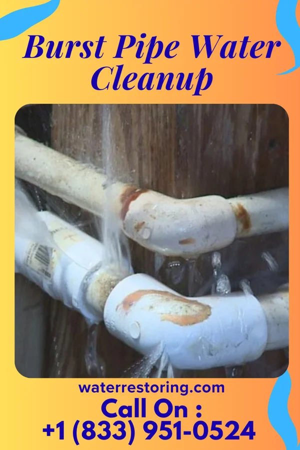 Burst Pipe Water Cleanup in Wellsburg, WV