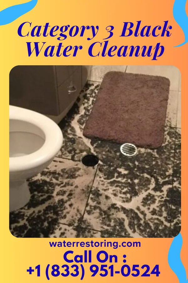 Category 3 Black Water Cleanup in Wellsburg, WV
