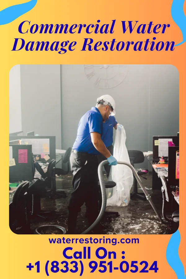 Commercial Water Damage Restoration in Wellsburg, WV