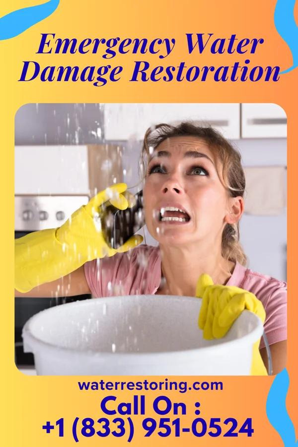 Emergency Water Damage Restoration in Wellsburg, WV