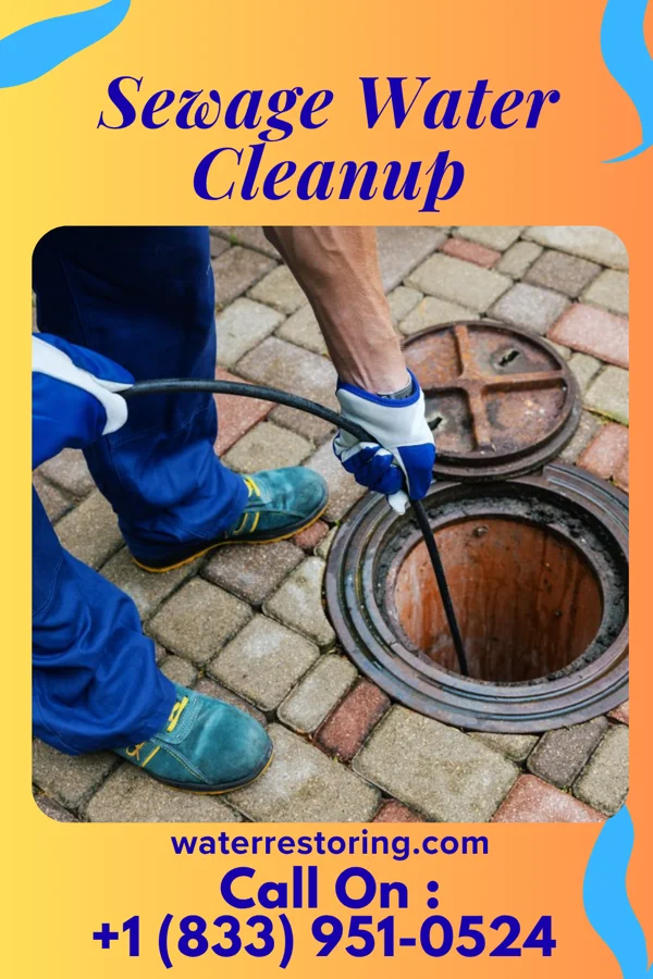 Sewage Water Cleanup in Wellsburg, WV